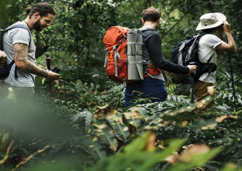 Conheça as melhores trilhas de Monte Verde - MG